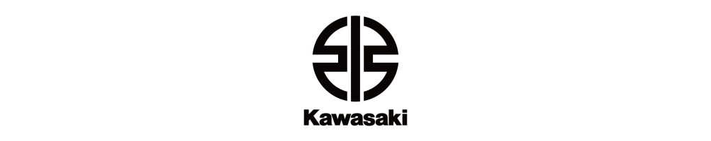 Kawasaki
